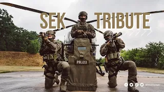 Born for this | SEK | Polizei Tribute