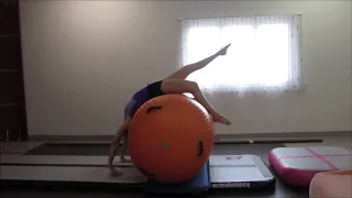 Gymnastics | Working on my Back Handspring with airroll