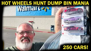 HOT WHEELS 2024 HUNT DUMP BIN MANIA WE FIND 250 CARS