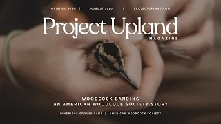 Woodcock Banding - An American Woodcock Society Story