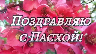 Поздравляю со светлым праздником Пасхи! С Пасхой!  С Христовым Воскресеньем, великим светлым днем!