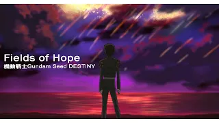 【MUSIC】- Fields of Hope - 田中理惠 - 機動戰士Gundam Seed DESTINY - 中日字幕