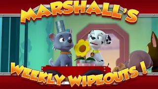 Marshall's Weekly Wipeouts! (Season 2 - Pups Save a Wedding)