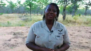 Vultures_ Nature's Clean Up Crew- Birdlife EP2