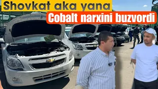 Cobalt narxi yana tushdi