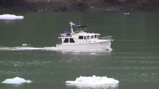 SAWYER GLACIER, Tracy Arm Alaska  May 2016