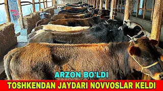 YEMLASHGA TAYYOR JAYDARI NOVVOSLAR ARZON NARXLARDA