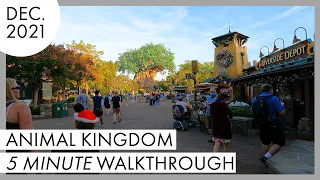 Disney's Animal Kingdom 5 Minute 4K Park Walk | December 2021 | Walt Disney World Resort