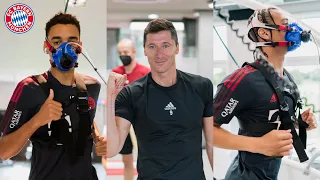 Lewandowski, Musiala, Sané & Co. return to practice