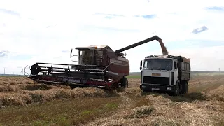 В эксбазе «Криничная» поздравили передовиков уборочной