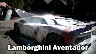 Lamborghini Aventador SV Detailing