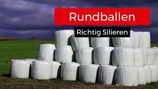 Grassilage: Richtig Silieren in Rundballen