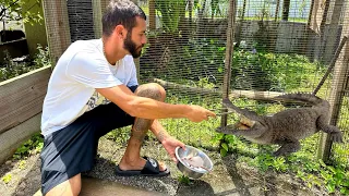 FEEDING ALL MY GATORS + CLEANING THE ENCLOSURE! *CRAZY*