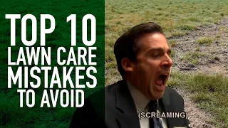 Top 10 Lawn Care Mistakes to Avoid