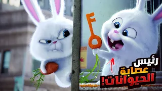 كلب صغير بيتوه من صحابه وبيضطر يواجة عصابة الحيوانات الي عاوزين ينتقموا منه | ملخص فيلم Life Of Pets