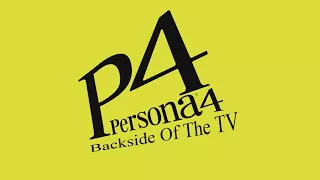 Backside of the TV - Persona 4