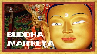 The short story of Maitreya