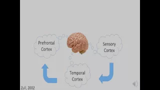 Chemistry of the Brain - Neuroscientific Perspective on Education