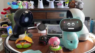 Jibo & Friends - Saturday Livestream (Lost In Translation)