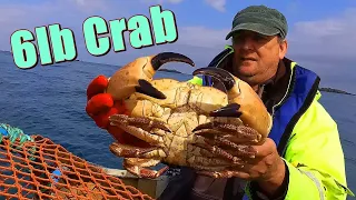 Third Haul What a Beast 6lb Brown Crab From The Dinghy Plus Lobster & Spider Crab 2024