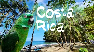 Коста Рика, Рай на Земле, Восточное побережье, Пляжи и парки, Путешествие своим ходом