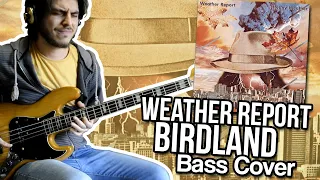 Weather Report - Birdland (Bass cover) // Better call John!