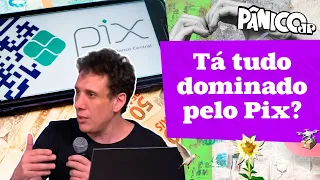 POR QUE DOC E TEC SERÃO EXTINTOS PELOS BANCOS BRASILEIROS? SAMY DANA EXPLICA