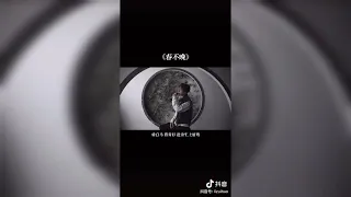 【李常超/Lao乾媽】《春不晚》抖音