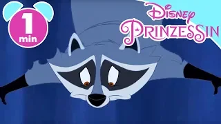 POCAHONTAS: Lieblingsszene – Meeko und Flit springen den Wasserfall hinunter | Disney Junior