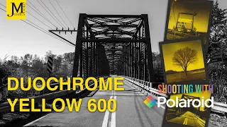 Polaroid Duochrome Yellow 600 Photography