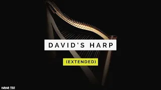 David's Harp (EXTENDED) | NO MID ROLL ADS | 1 Hour Relaxing Instrumental | Peaceful Music | Harp