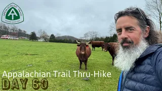 Appalachian Trail Thru-Hike 2024 | Day 60 | It’s Pouring .. Fortune isn’t Snoring