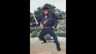 The making of Enter the Ninja with Mike Stone Part 2