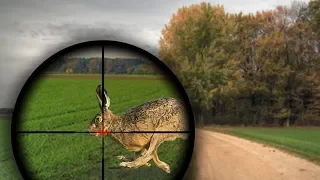 Топ 100 ЭПИЧЕСКИЕ моменты ОХОТА НА ЗАЙЦА  BEST HUNTING KILL SHOTS