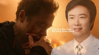 Avengers: Xue Hua Piao Piao Bei Feng Xiao Xiao