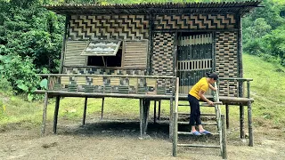 FULL VIDEO:180 Days Build Warm, bamboo house, living in the forest of the girl