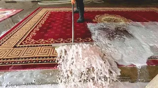 The most oddly satisfying Rug Scraping compilation video №4