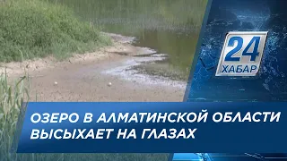 Высыхающее озеро пытаются спасти в одном из аулов Алматинской области