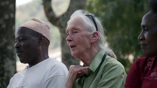 98% HUMAN - Short Documentary with Jane Goodall & Nicolas Ibarguen