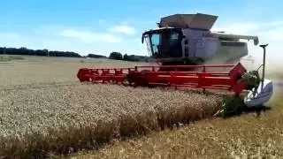 Żniwa 2016 Zachodniopomorskie, akcja pszenica |3x Lexion| |Claas&Fendt| Big harvest in Poland