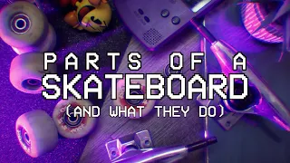 ALL the Parts of a Skateboard (and What They Do!)