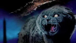 Horror Doc Review: Unearthed & Untold: The Path to Pet Sematary