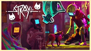 we're committing crimes in midtown!!! || stray [part 4]