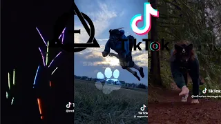 Therian and Quadrobics TikToks || Compilation 🐾🪱🪲|| Alterhumans of TikTok #80