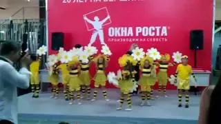 ОКНА РОСТА ЮБИЛЕЙ 20 лет Дикие пчёлы слетелись на торт подаренный мэром города