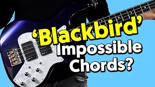 How To Play 'Blackbird' Chords On Bass - Classic Beatles Chill Out!!