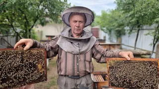 AMAZING HONEY FARM IN THE MOUNTAINS! LIFE IN THE MOUNTAINS VILLAGE