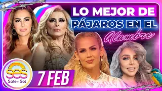 Verónica Castro, Ninel Conde, Niurka, Belinda, Dulce, Lisset | Lo mejor de Pájaros | 7/02/2024