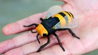 GIGANTIC WASP!