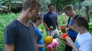 Mastering Mobility in Tonga: Essential Tips for Navigating the Archipelago